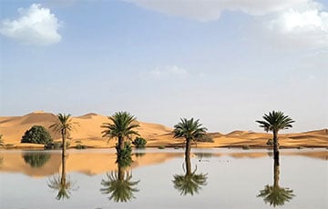 В Саудовской Аравии решили возвести 1000 плотин для сбора дождевой воды