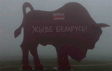 На 30-метровом памятнике Зубру на трассе Минск-Брест появилась надпись «Жыве Беларусь!»