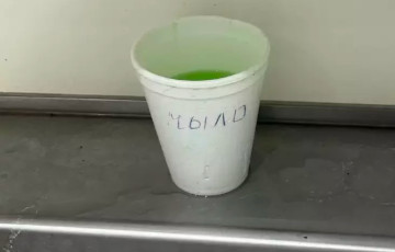 «Колхоз в стране во всем»