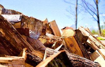 В Беларуси появилась услуга online-заказа дров
