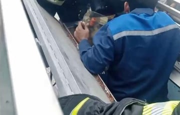 Беларус застрял в комбайне на производстве шампиньонов под Толочином