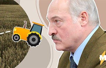 «Весеннее обострение»: агроному Лукашенко поставили диагноз