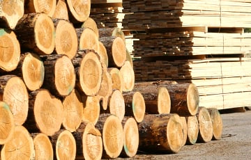 Как будут продавать беларусам древесину по новым правилам