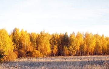 «Рукомойник, лесной душ?»