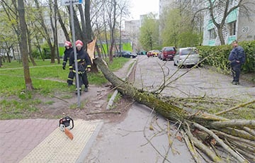 Стихия нарушила электроснабжение в 37 населенных пунктах в Витебской области