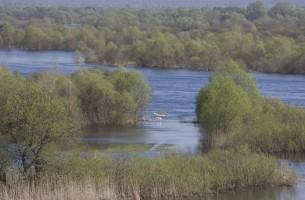 Экологи: уникальная природа Национального парка Припятский под угрозой