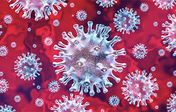 Ученые показали коронавирус под микроскопом