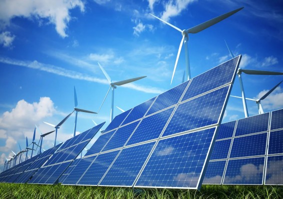 Возобновляемые источники энергии будут развиваться в Беларуси и после запуска АЭС