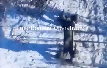 Ударный дрон ВСУ вывел из строя отряд московитов