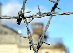За год в Беларуси реабилитировали 34 незаконно осужденных