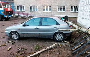 Обесточенные деревни, повреждение авто, задержка поездов: что натворил ураган в Беларуси