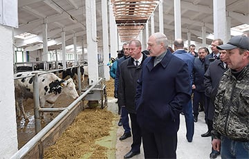 «От Лукашенко было бы больше пользы в хлеву»