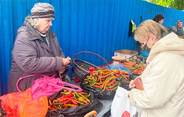 В Беларуси за неделю заметно подорожали овощи