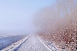 Туман и гололед: сегодня в Беларуси объявлен оранжевый уровень опасности