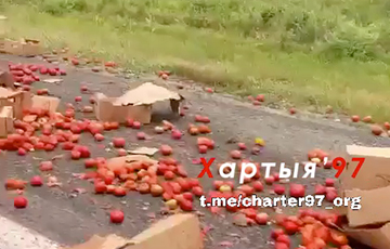Фура и газель столкнулись на трассе М1: мандарины разлетелись по дороге