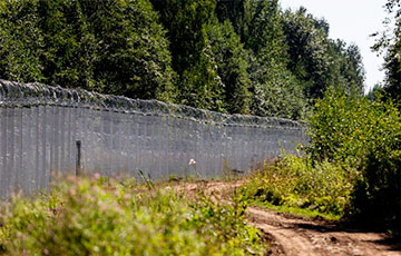 Литва достроила забор на границе с Беларусью