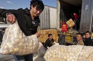 Беларусь сняла временные ограничения на ввоз украинского картофеля
