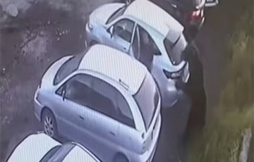 На Камчатке медведь пришел в город и напал на московитов