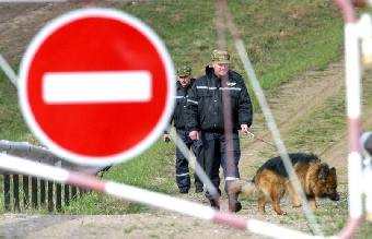 Граждане Грузии вновь задержаны при попытке незаконно пересечь границу Беларуси