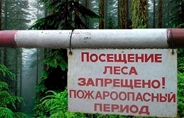 На большей части территории Беларуси действует запрет на посещение лесов