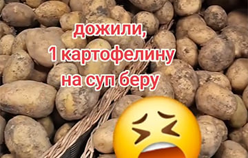 Одна картофелина на суп: как беларусы выживают в сезон «дешевой» заготовки овоща