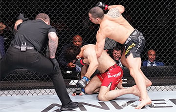 Трамп объявил, что в Белом доме пройдет бой UFC