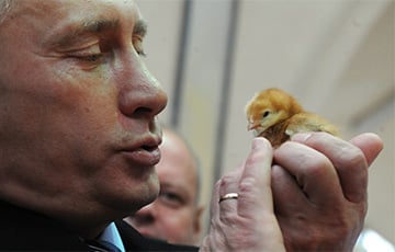 «Путин, где курица?» – жалуются жители Челябинска в комментариях в местном издании.