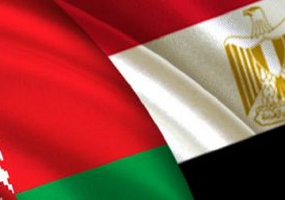 Беларусь и Египет откроют сборочное производство двигателей
