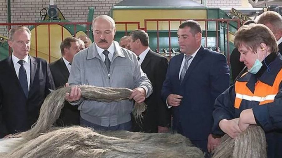 Здравому смыслу вопреки. За 10 лет в Беларуси ликвидировано более 30 льнозаводов