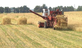 Господдержка сельского хозяйства в Беларуси должна сохраниться - Мясникович