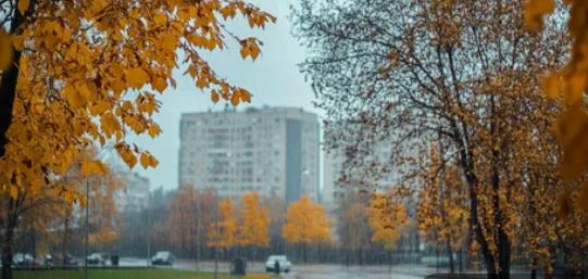 Потепление идет в Беларусь. Прогноз погоды