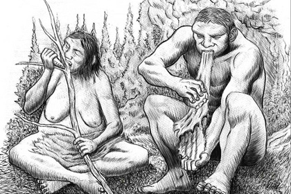 У неандертальцев нашли половое разделение труда