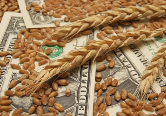 Беларусь планирует увеличить экспорт сельхозпродукции в полтора раза