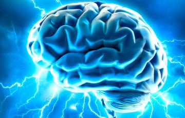 Ученые опровергли популярную гипотезу о мозге человека