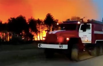 Московия пылает: в Ростовской области разгорелся масштабный лесной пожар