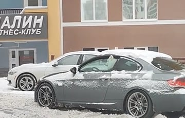 В Минске заметили собаку, которая пыталась «припарковать» машину