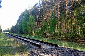 Под Гродно разбирают ведущие в сторону Литвы железнодорожные пути