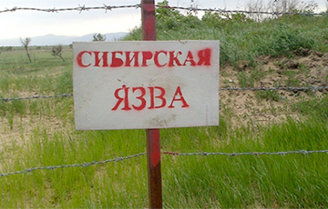 Московиты раскопали в Украине скотомогильник с сибирской язвой: солдат вывезли в неизвестном направлении