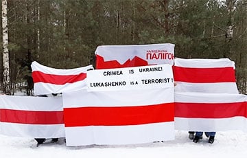 Партизаны Минска, Боровлян и Колодищей вышли на акции солидарности