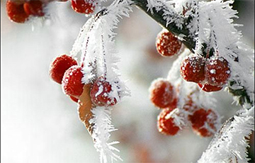 В ночь на 7 января местами ожидаются морозы до -32°С