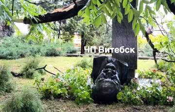 В Беларуси ветер снес памятник Ленину