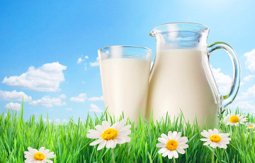 Россия пригрозила запретить импорт белорусской «молочки»