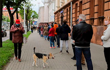 Фотофакт: Домашние животные на пикетах в Гродно и Минске