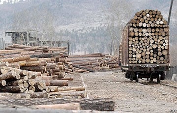 В Московии рухнула еще одна отрасль экономики