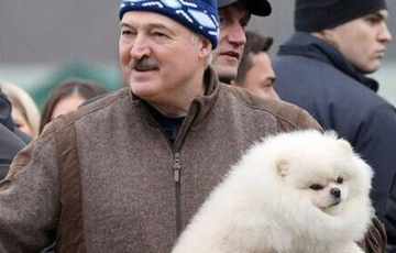 «Лукашенко брешет, как его шпиц»