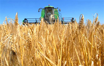 Украина обновила рекорд по экспорту зерновых