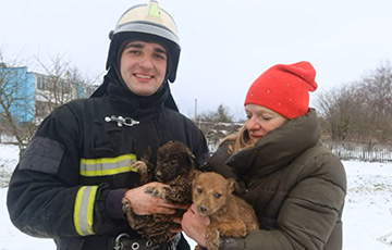 Под Витебском спасли из ямы двух маленьких щенков