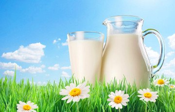 Ряд предприятий Беларуси «попались» на сухом молоке