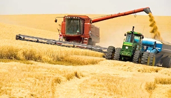 Нынешний урожай зерна в Беларуси на 1 млн.т превышает прошлогодний