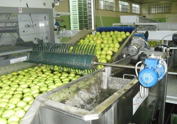Беларусь предлагает Испании создать СП по переработке овощей и фруктов